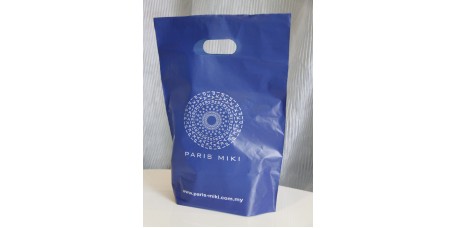 Hole Punch Bag Paris